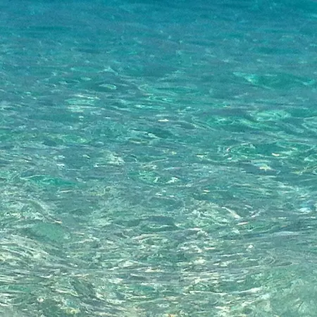 Hébergement de vacances Casa Orchidea *