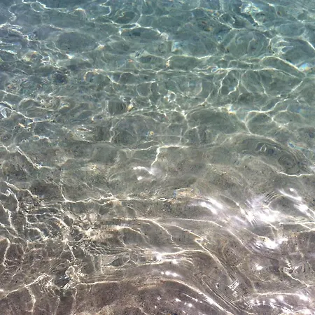 Casa Orchidea Σπίτι διακοπών La Caletta